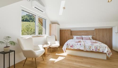 One-bedroom Loft Apartment 