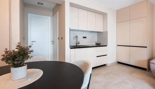 One-Bedroom Apartment with Terrace
