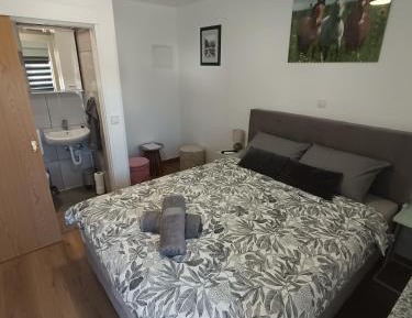 Double Room with Private Bathroom