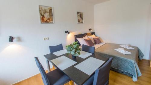 Studio with Sofa Bed
