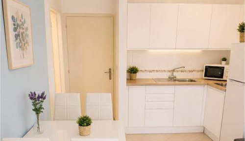 Deluxe One-Bedroom Apartment
