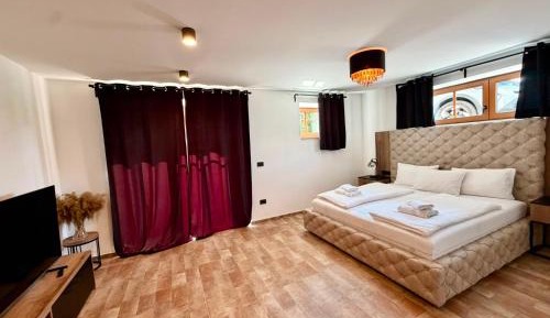 Two-Bedroom Basement Apartment with Terrace