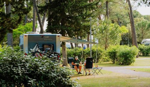 Camping Pitch - Economy