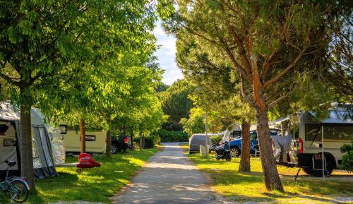 Camping Pitch - Standard