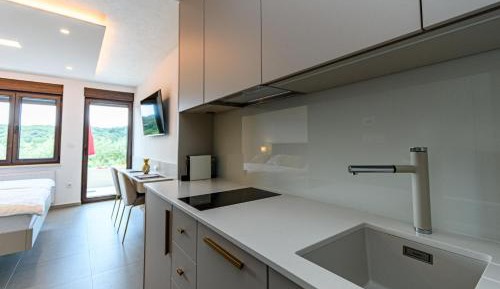 Studio with Terrace