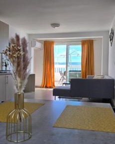 Penthouse Apartment