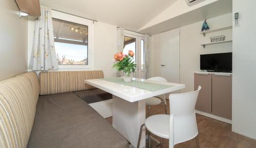 Mobile Home