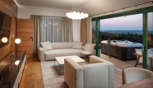 Deluxe One-Bedroom Apartment with City View