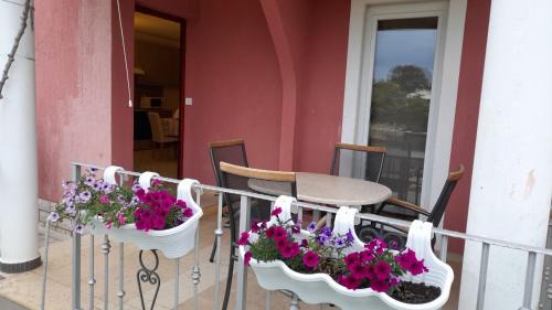 Studio with Terrace