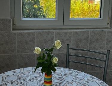 One-Bedroom Apartment with Terrace