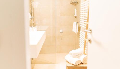 Large Double or Twin Room