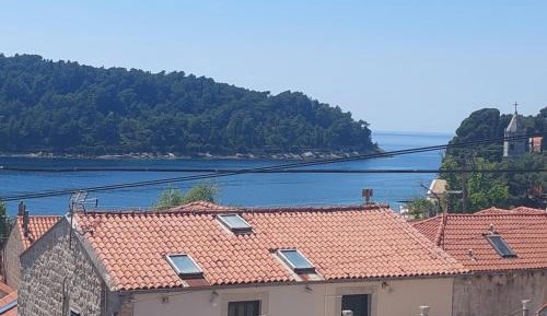 One-Bedroom Apartment with Terrace and Sea View