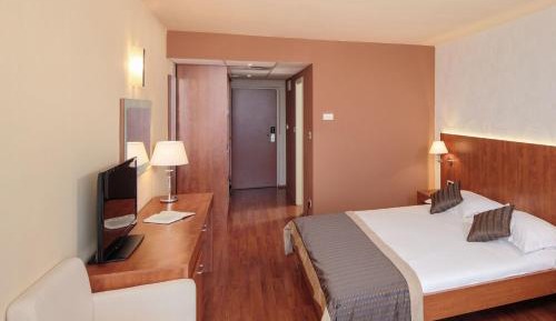 Economy Room with French Bed - Park Side