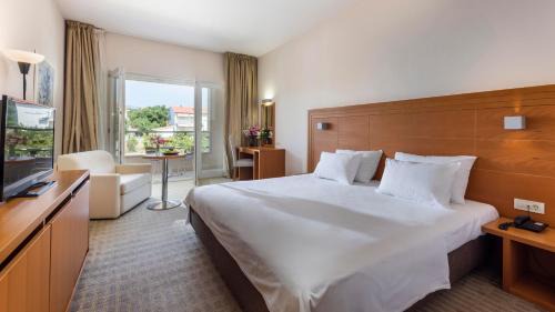 Superior Double Room with Balcony and Park View