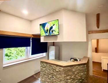 Deluxe Apartment