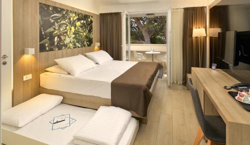 Comfort Double Room with Balcony and Century Old Pine Tree and Sea View – Residence