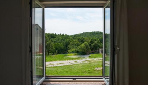 Apartment with Garden View