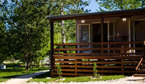 Mobile Home