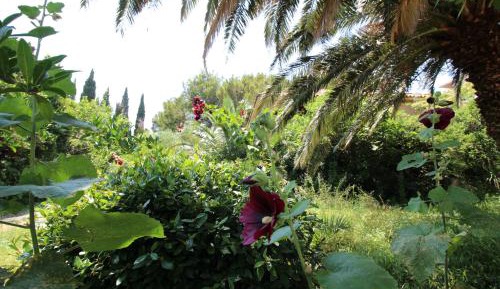 Villa with Garden View