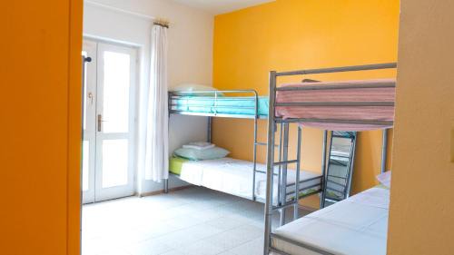 Bed in 6-Bed Dormitory Room