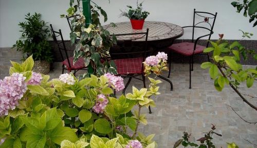 Apartment with Garden View