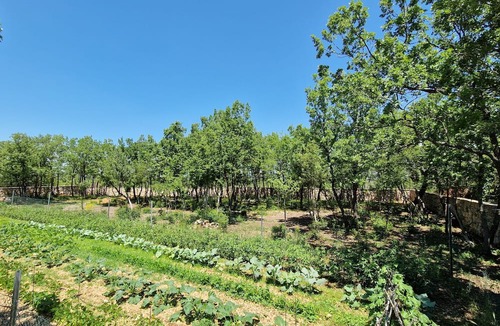 Razvode Villa | NEW! Rent estate with 2 villas, 1 common house and pool in vineyards
