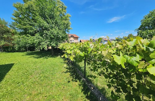 Mali Radic Villa | Relaxing Holiday Villa in Bihać – Private, Clean & Fully Equipped