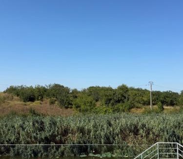 Ciofliceni Villa | Sol 2 Lake House Snagov - 30 Mins to Bucharest - Slow Living
