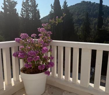Pupnat Villa | Villa Ljeto