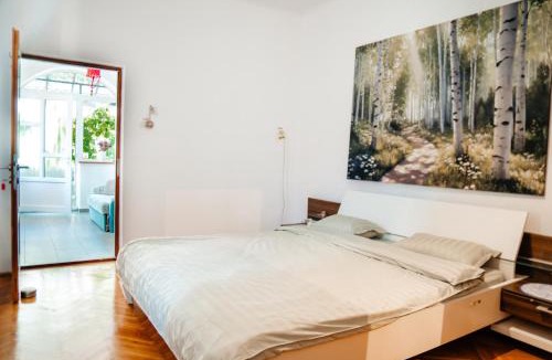 Vata de Jos House | Casa Verde