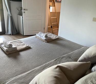 Breznik Plesivicki Villa | Kuća za odmor Vlaškovec