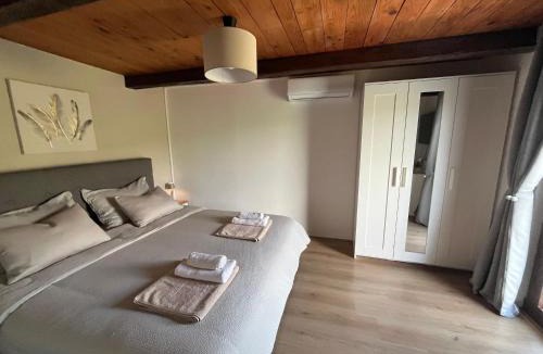 Breznik Plesivicki Villa | Kuća za odmor Vlaškovec
