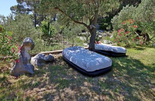 Suha Punta Apartment | Apartments by the sea Kampor, Rab - 24554
