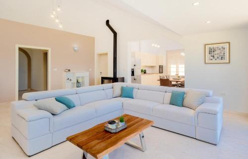 Pucisca Villa | Villa Joy - 40 m2 heated pool, 35 000 m2 of land