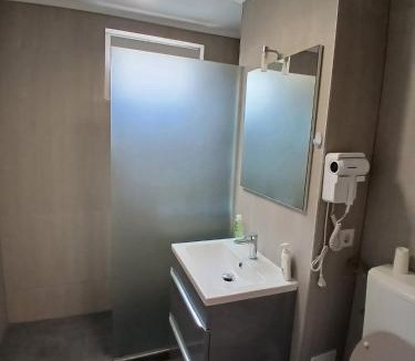 Piatra Neamt Apartment | Beau studio !