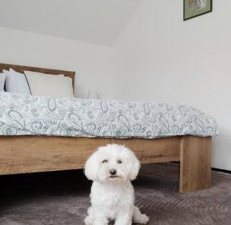Dakovo Apartment | U prolazu