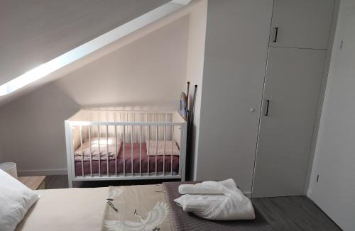Bjelovar Apartment | Duda1