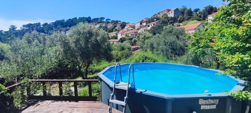 Mljet Apartment | Apartment Glavica