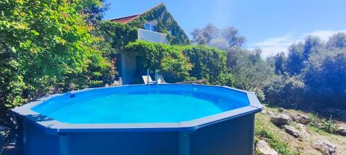 Mljet Apartment | Apartment Glavica