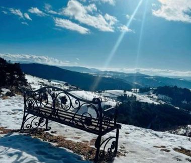 Zlatibor Ski Chalet | Zlatibor Koliba Laki