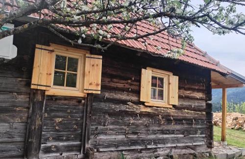 Zlatibor Ski Chalet | Zlatibor Koliba Laki