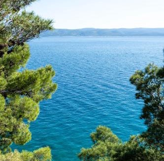 Marusici Villa | Villa Bonaca - Entire Private Beachfront Villa