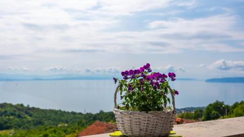 Poljane Villa | Beautiful Casa Dea with pool in Opatija