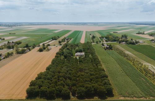 Vojvodina Villa | Nizija