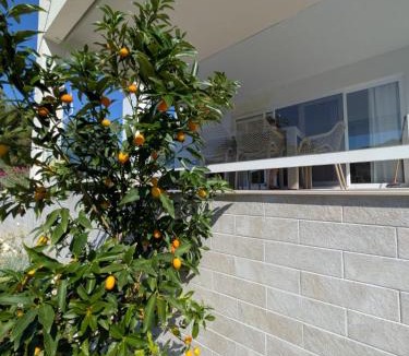 Dragove Apartment | Apartment The Olive Tree