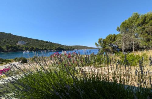 Dragove Apartment | Apartment The Olive Tree