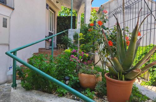 Sibenik Old Town Apartment | Apartman Campo
