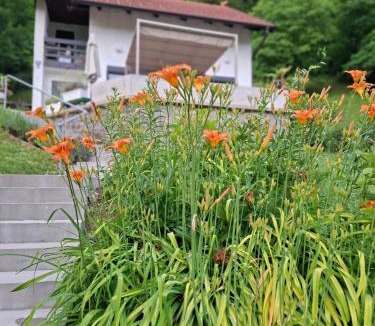 Tuhelj Villa | Villa Arboreta