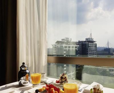 Novi Beograd Hotel | Hyatt Regency Belgrade