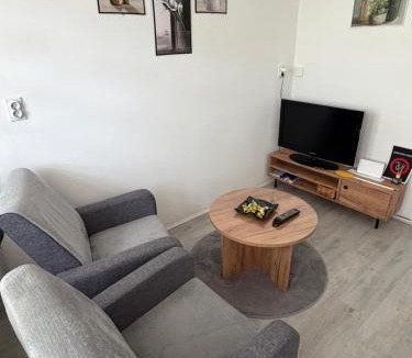 Bor Apartment | Apartman Velić